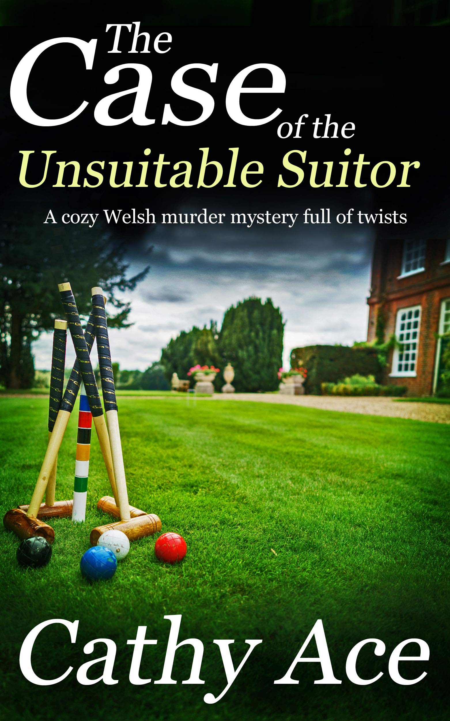 The Case of the Unsuitable Suitor (WISE Enquiries Agency #4)