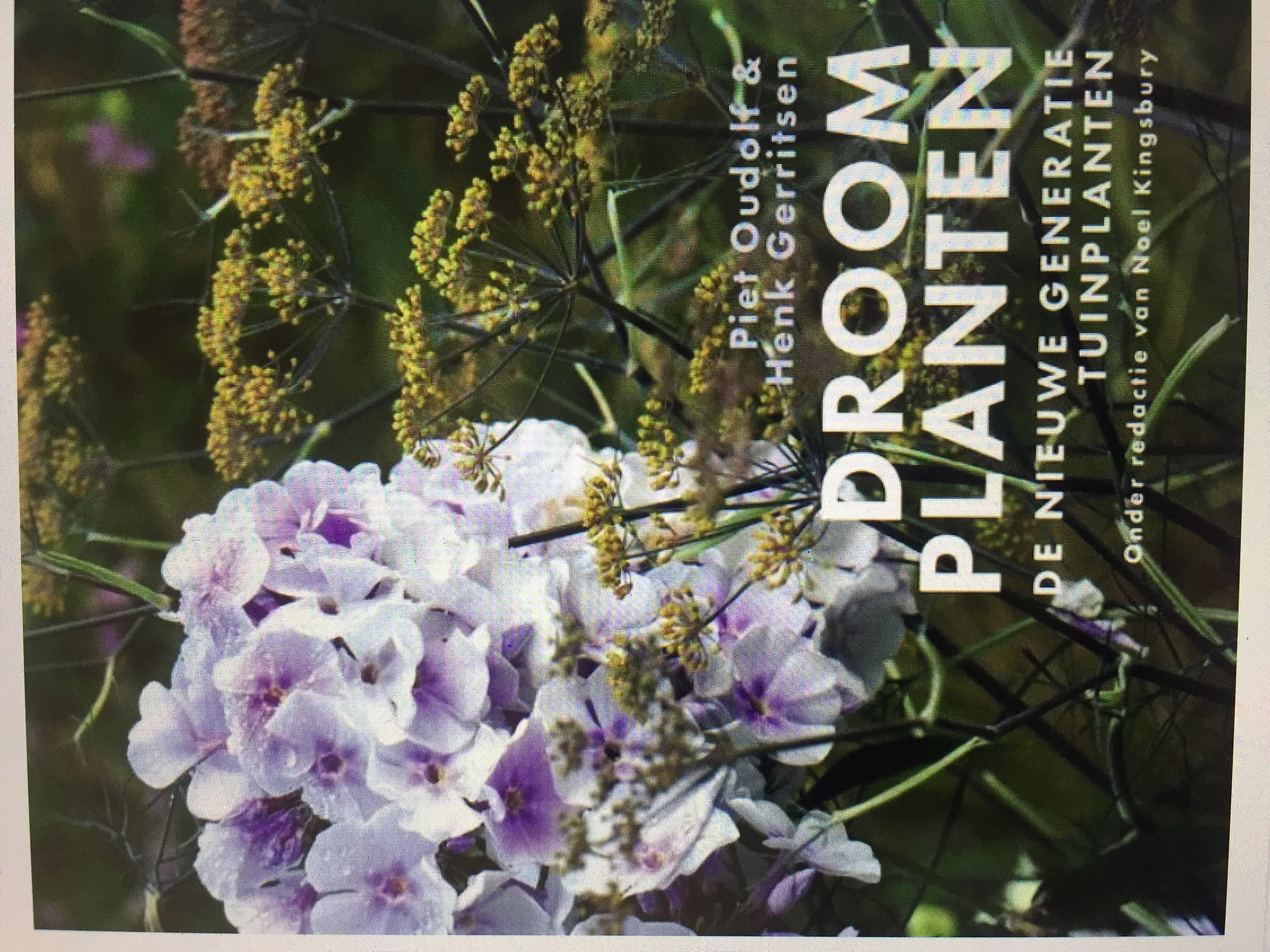 Droomplanten de nieuwe generatie tuinplanten (Paperback)