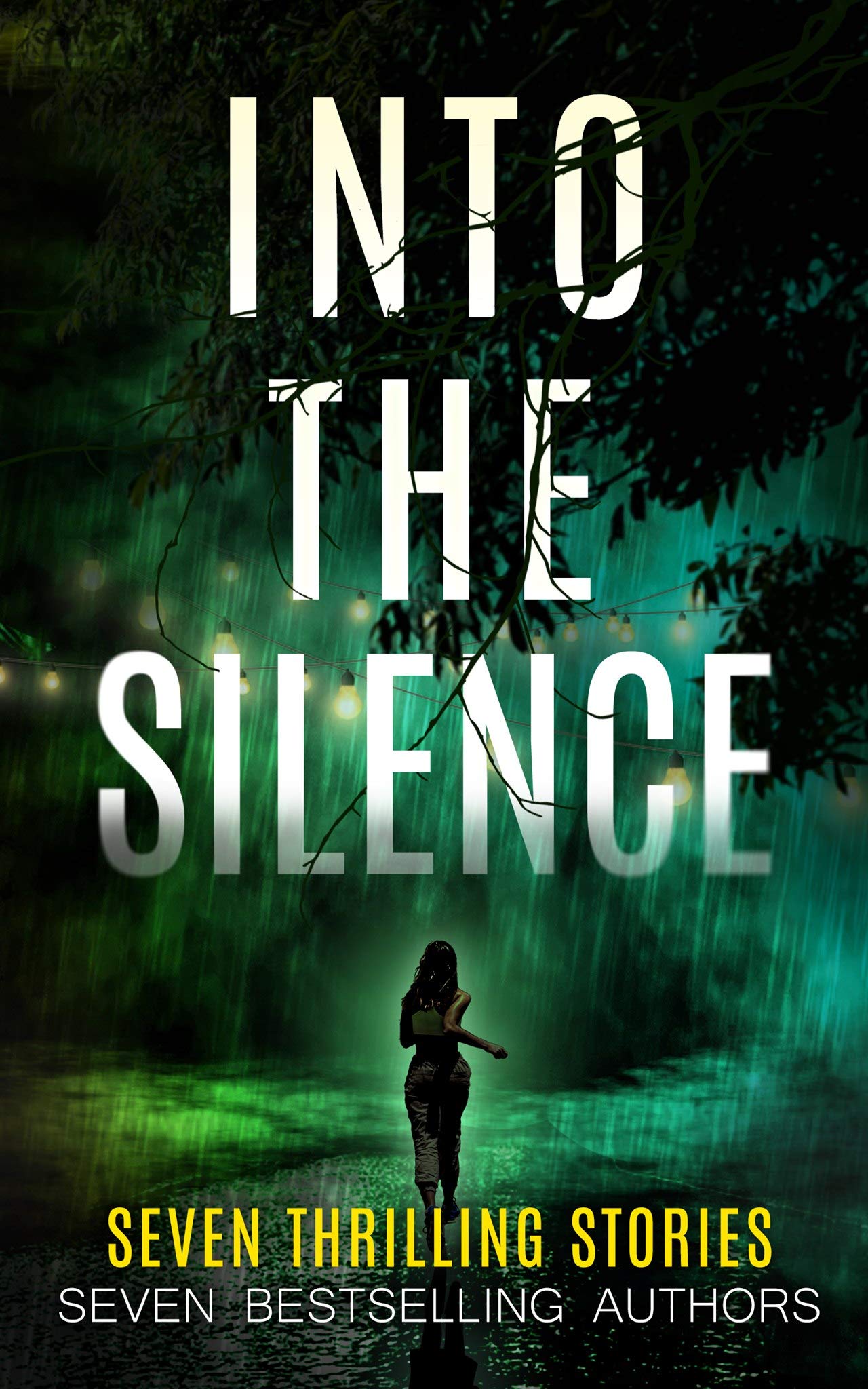 Into The Silence (Kindle Edition)