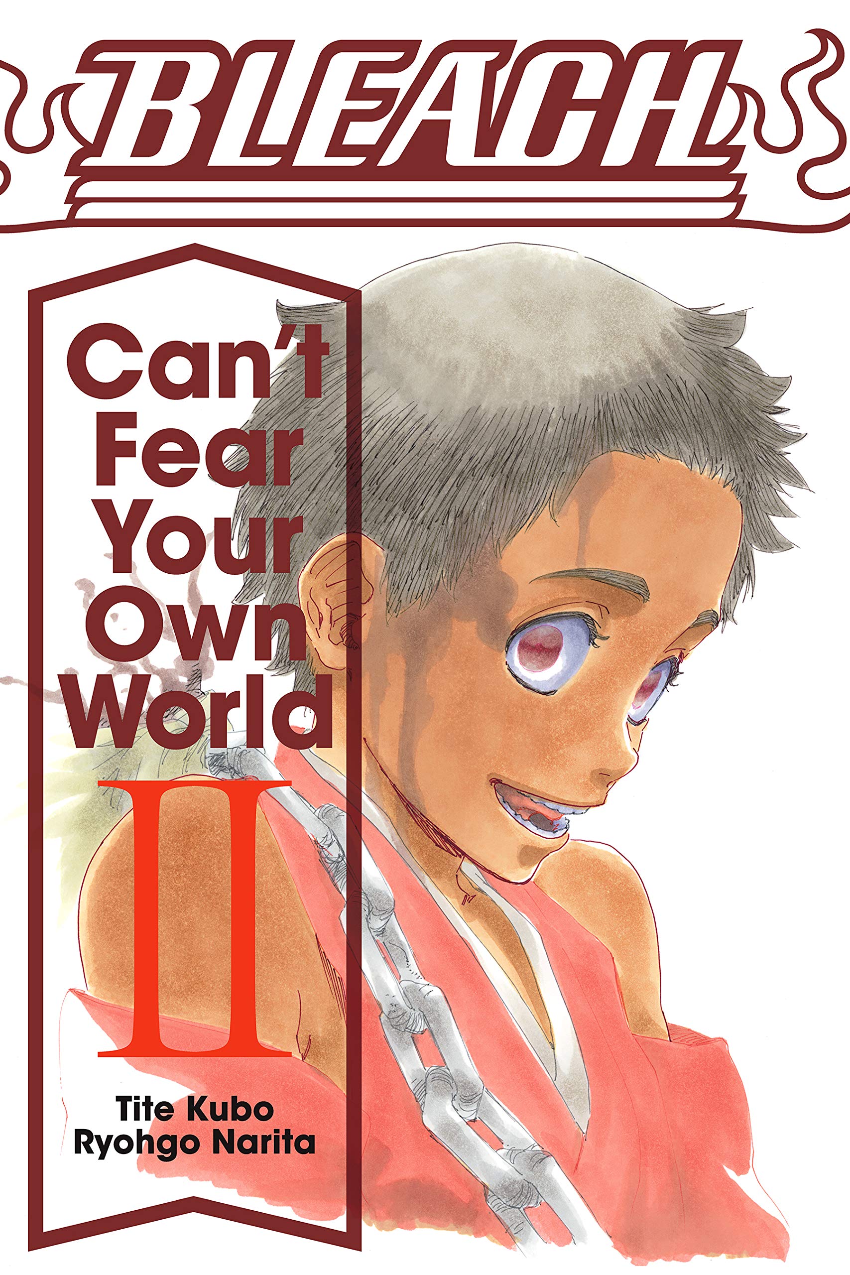 Bleach: Can’t Fear Your Own World, Vol. 2 (Kindle Edition)