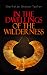 In the Dwellings of the Wilderness by C. Bryson Taylor