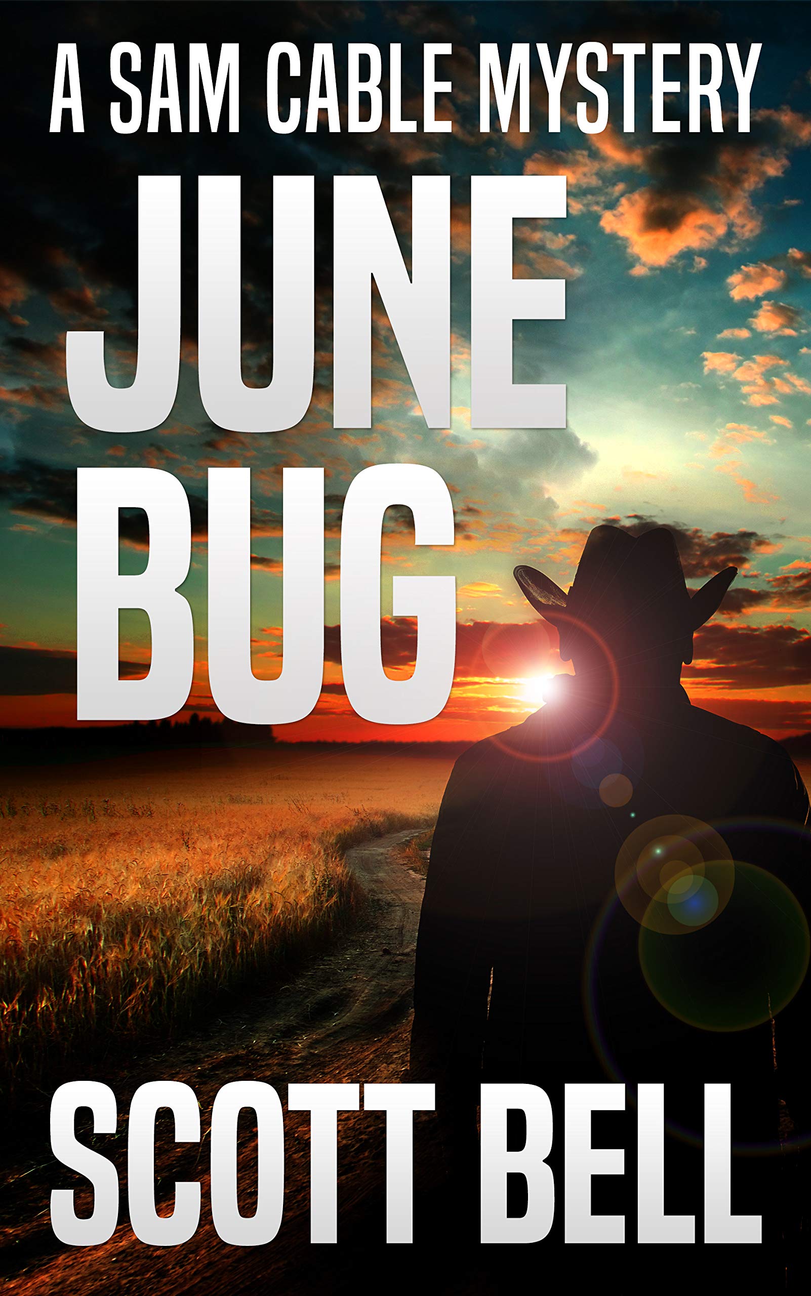 June Bug (Sam Cable #3)