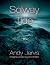 Solway Tide