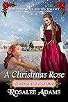 A Christmas Rose