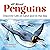 All About Penguins