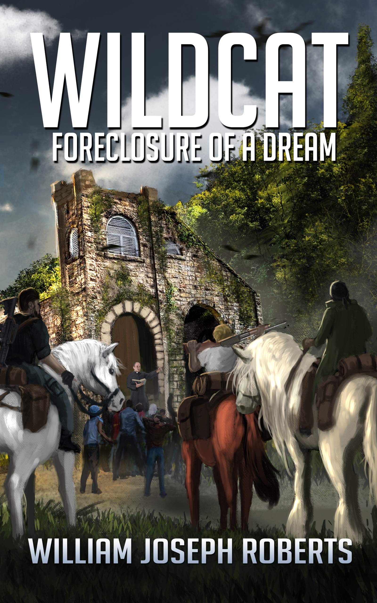 Wildcat: Foreclosure of a Dream (The Fallen World, #12)