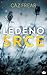Ledeno srce (Cat Kinsella, #2)