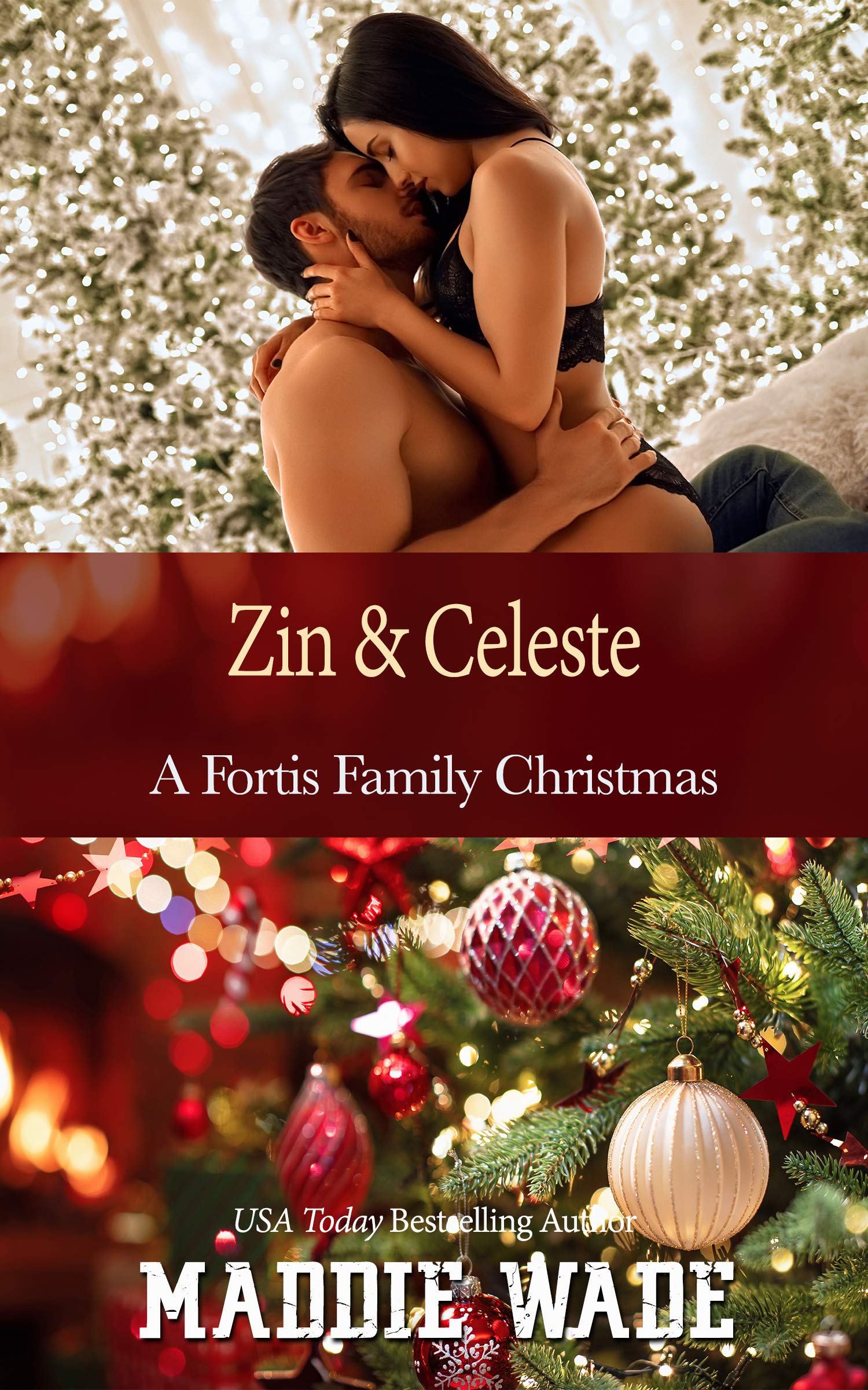 Zin and Celeste: A Fortis Family Christmas (A Fortis Security Novel)
