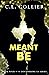Meant to Be (Discovering Us...
