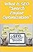 What Is SEO "Search Engine Optimization" by chabach library