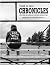 YOUTH IN CARE CHRONICLES: Reflections On Growing Up in the Child Welfare System