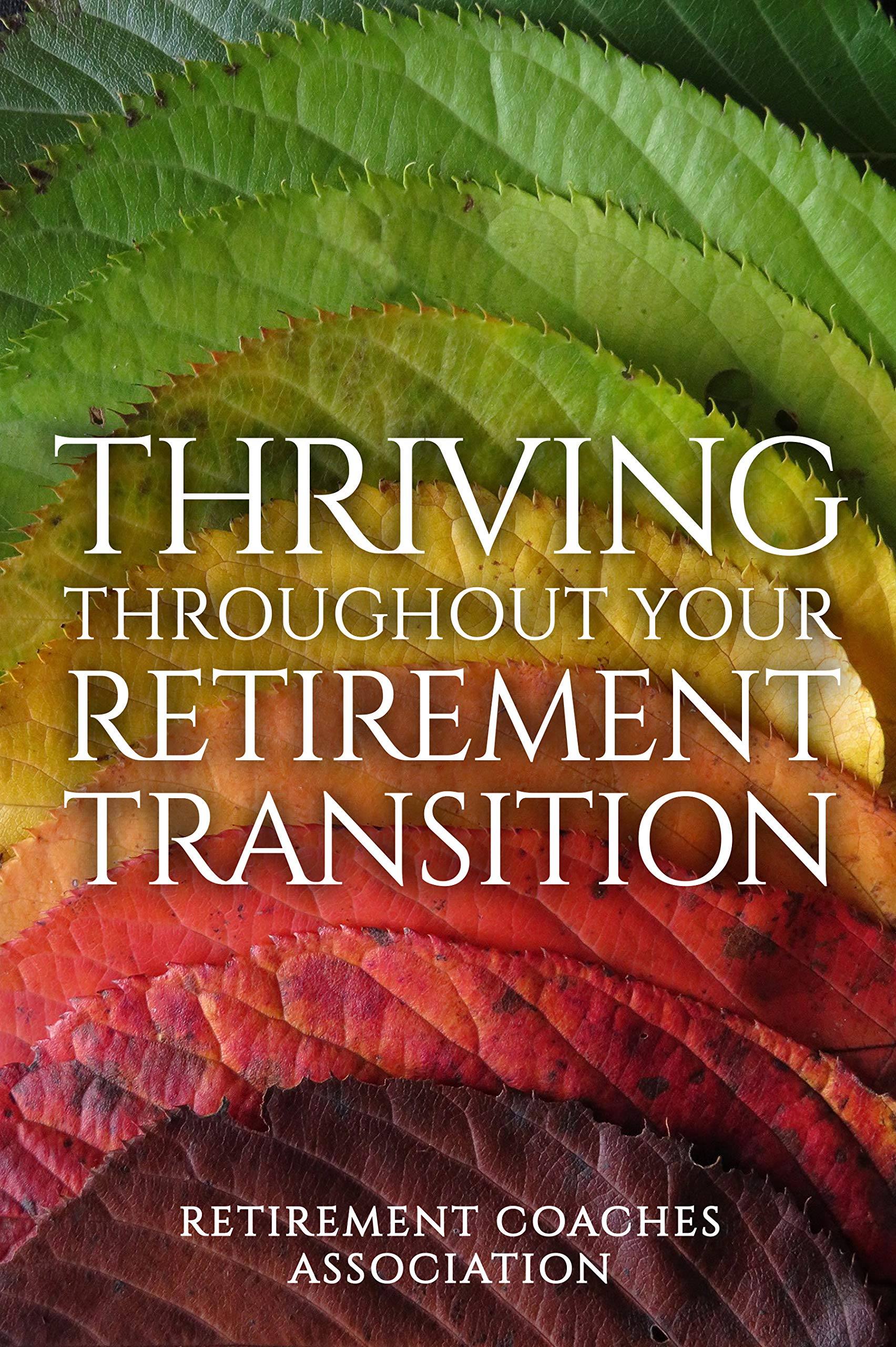 Thriving Throughout Your Retirement Transition (Kindle Edition)