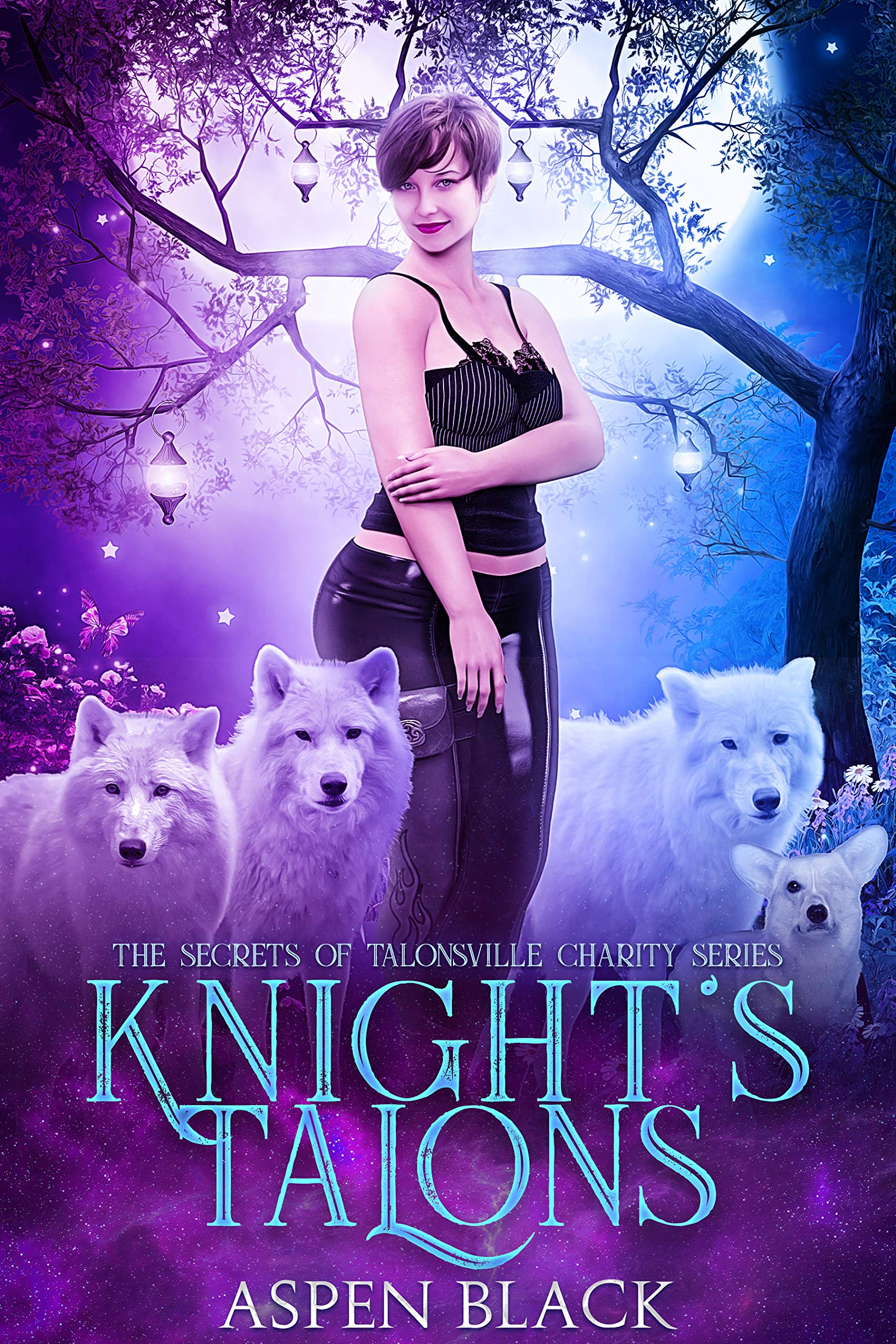 Knight's Talons (The Secrets of Talonville Charity, #1)