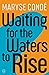Waiting for the Waters to Rise
