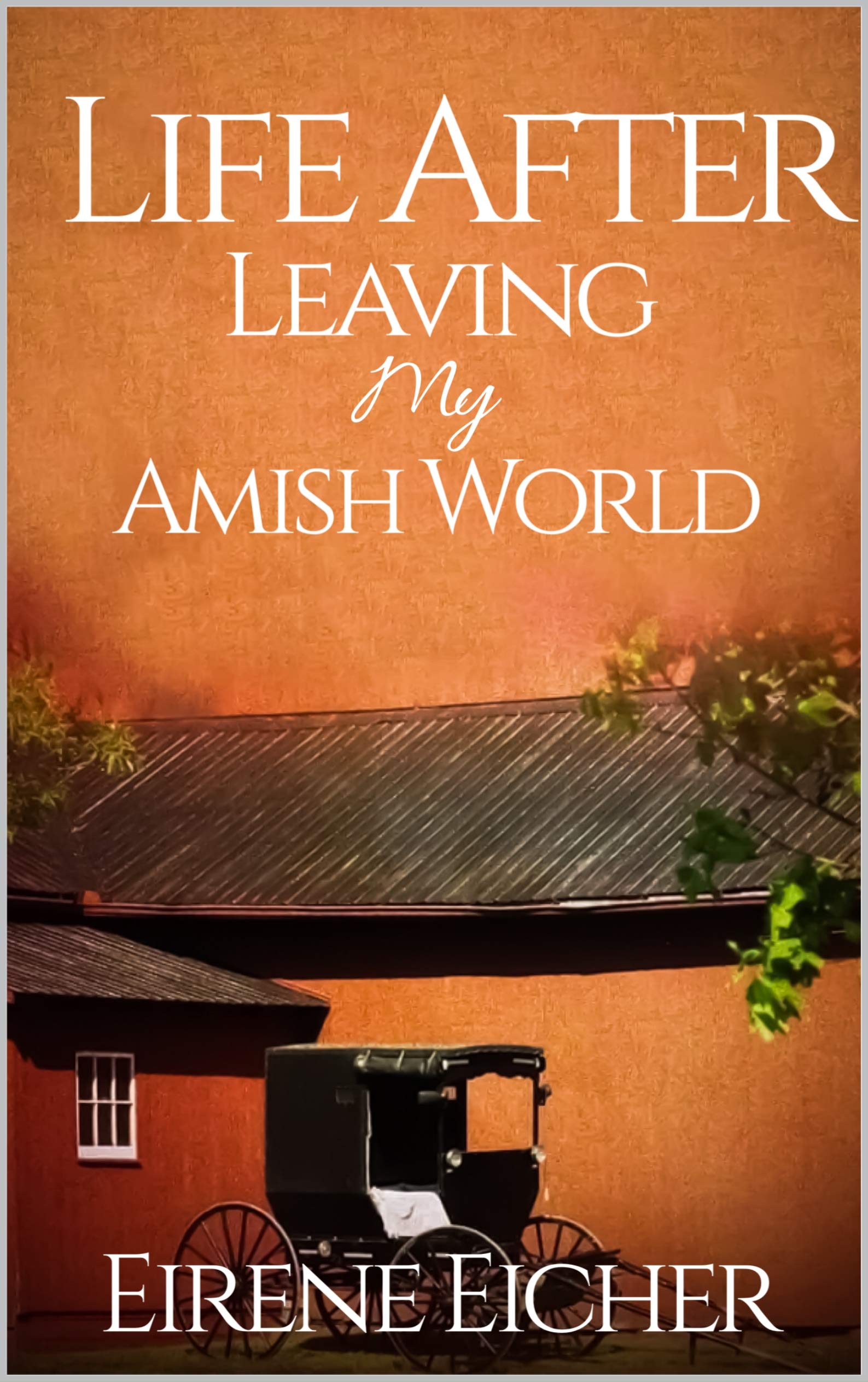 Life After Leaving My Amish World (The My Amish World Series Book 2)