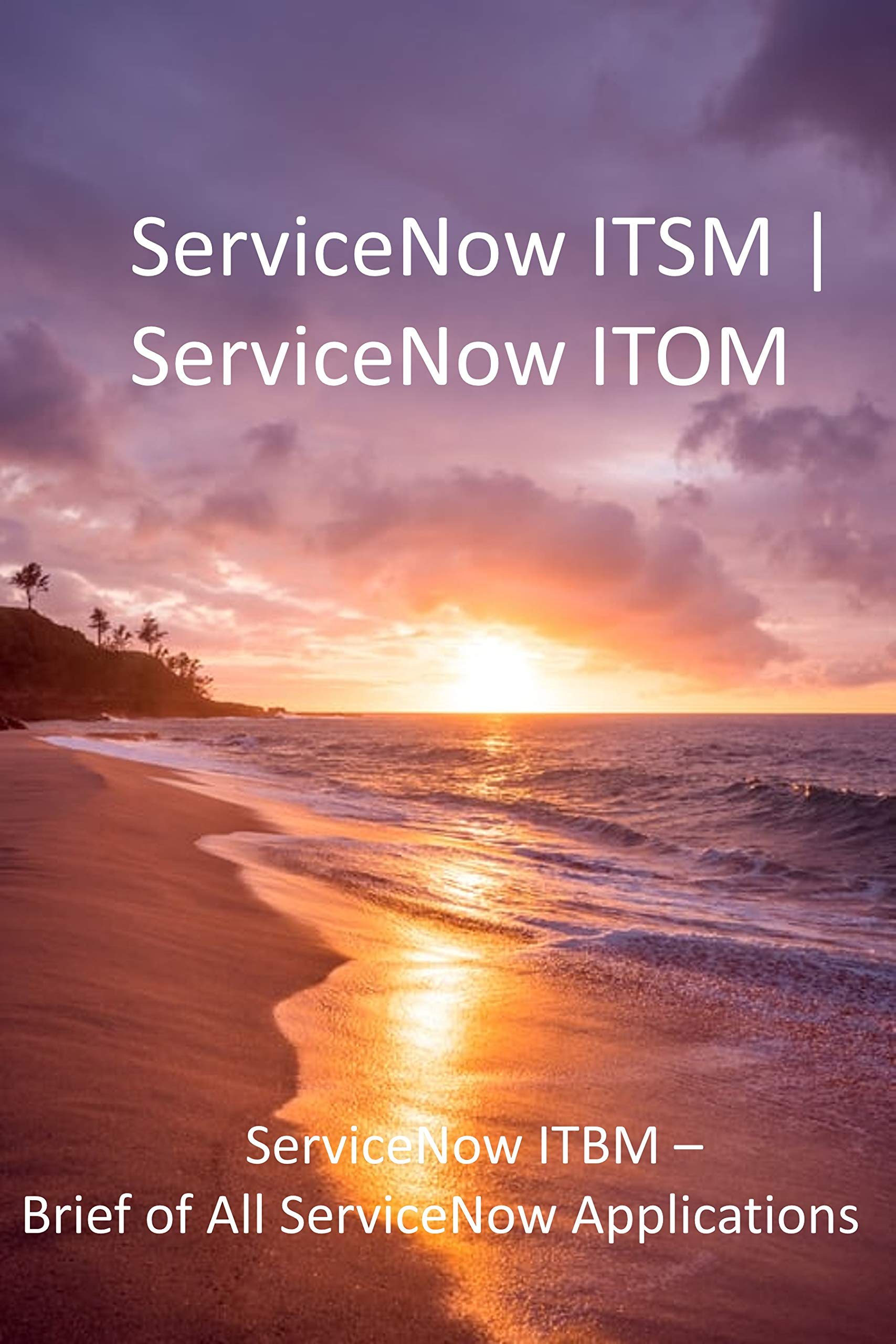 ServiceNow ITSM ServiceNow ITOM: ServiceNow ITBM – Brief of All ServiceNow Applications (Kindle Edition)