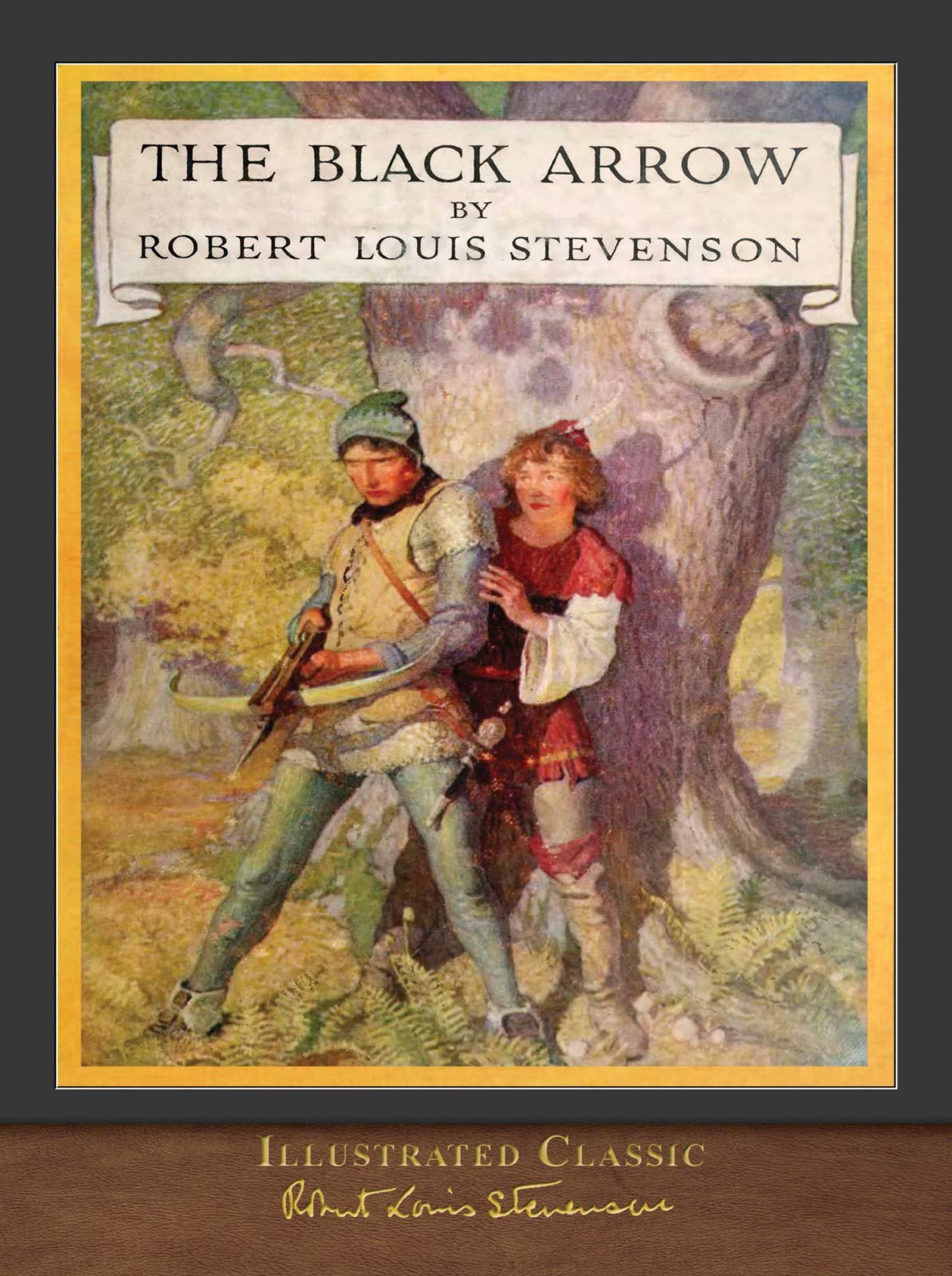 The Black Arrow (Illustrated Classic): Illustrated by N. C. Wyeth