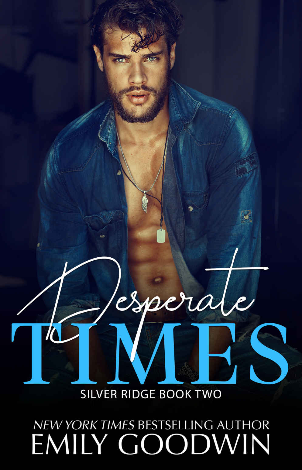 Desperate Times (Silver Ridge #2)