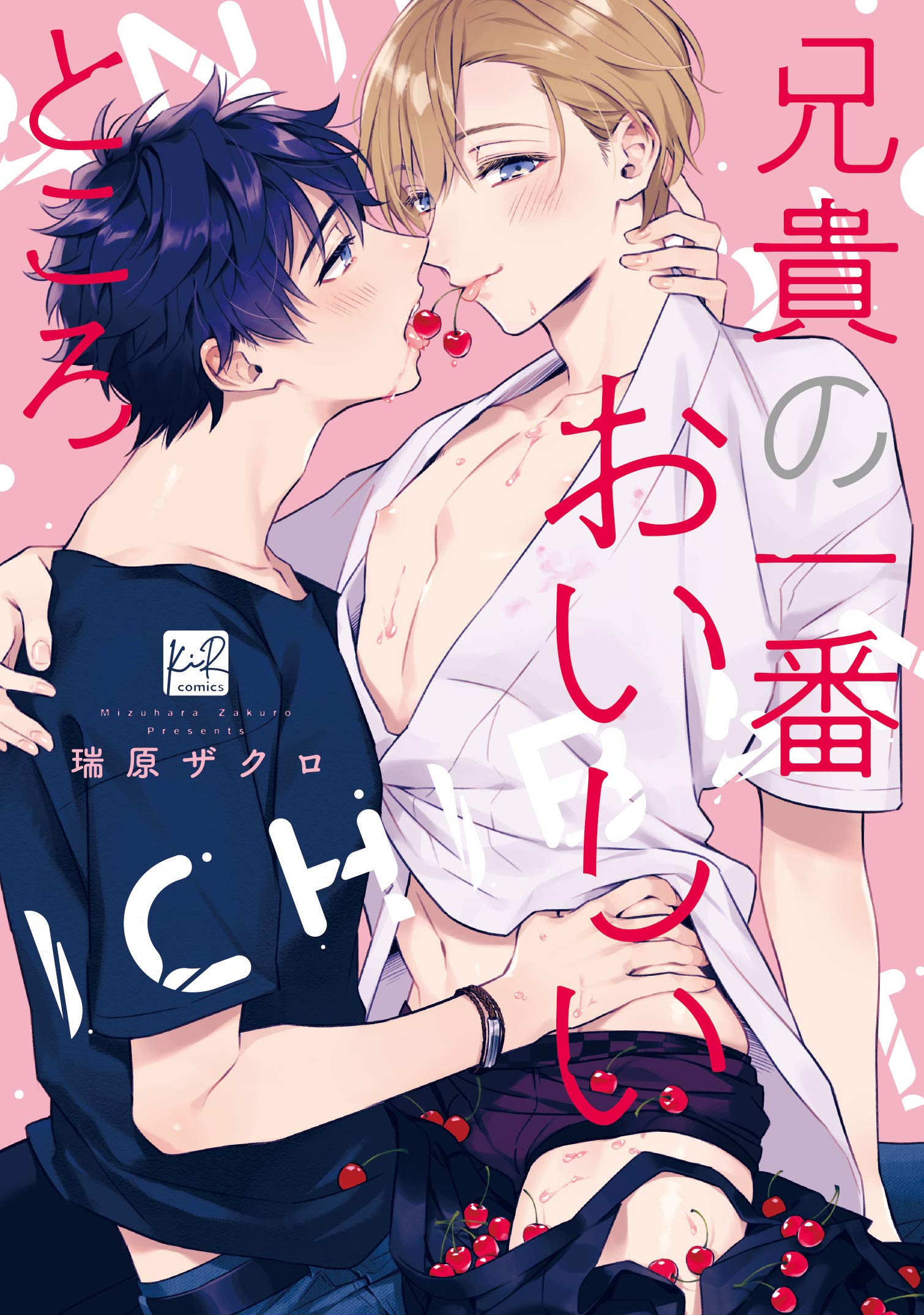 兄貴の一番おいしいところ [Aniki no Ichiban Oishii Tokoro] (Paperback)