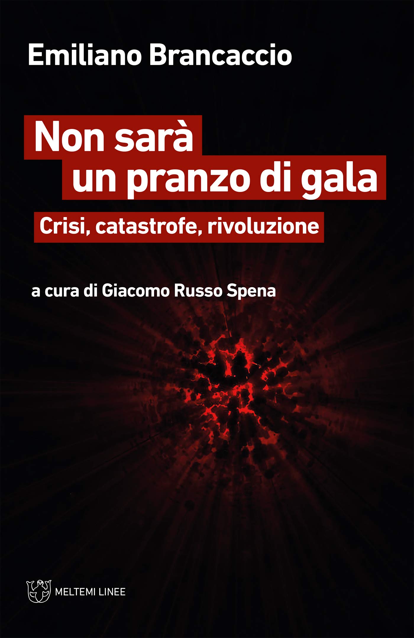 Non sarà un pranzo di gala. Crisi, catastrofe, rivoluzione (Paperback)