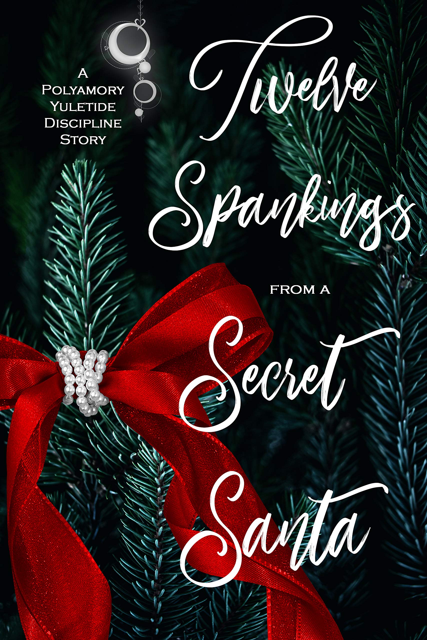 Twelve Spankings from a Secret Santa (Kindle Edition)