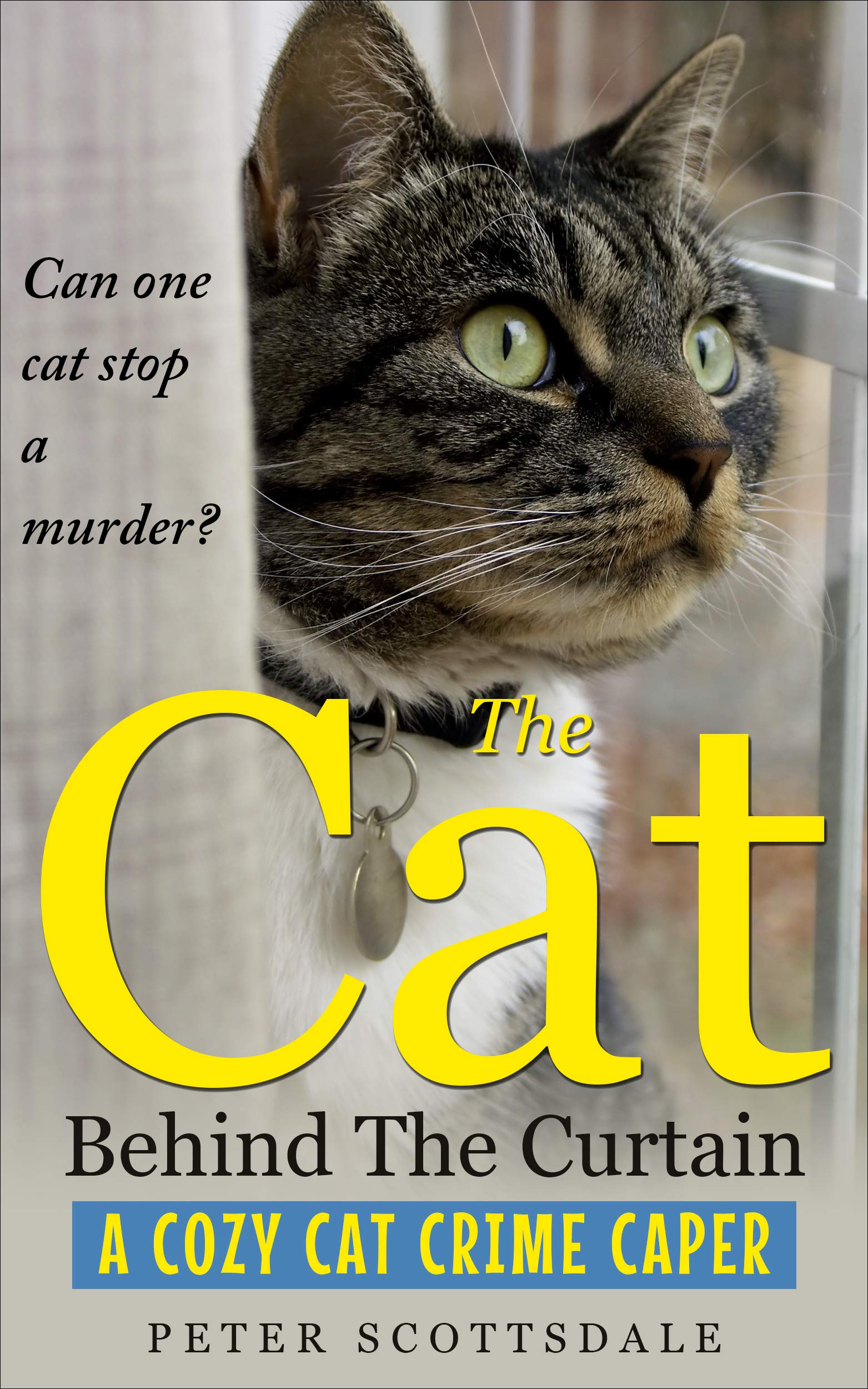 The Cat Behind The Curtain (A Cozy Cat Crime Caper, #1)