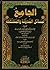 الجامع لمسائل المدونة والمختلطة