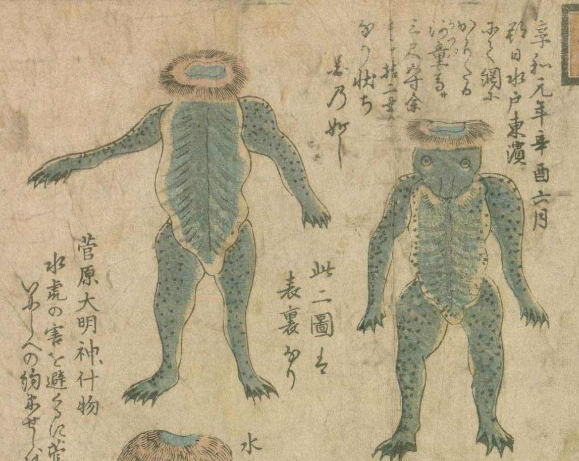 ‫الكابا: KAPPA‬ (Arabic Edition)