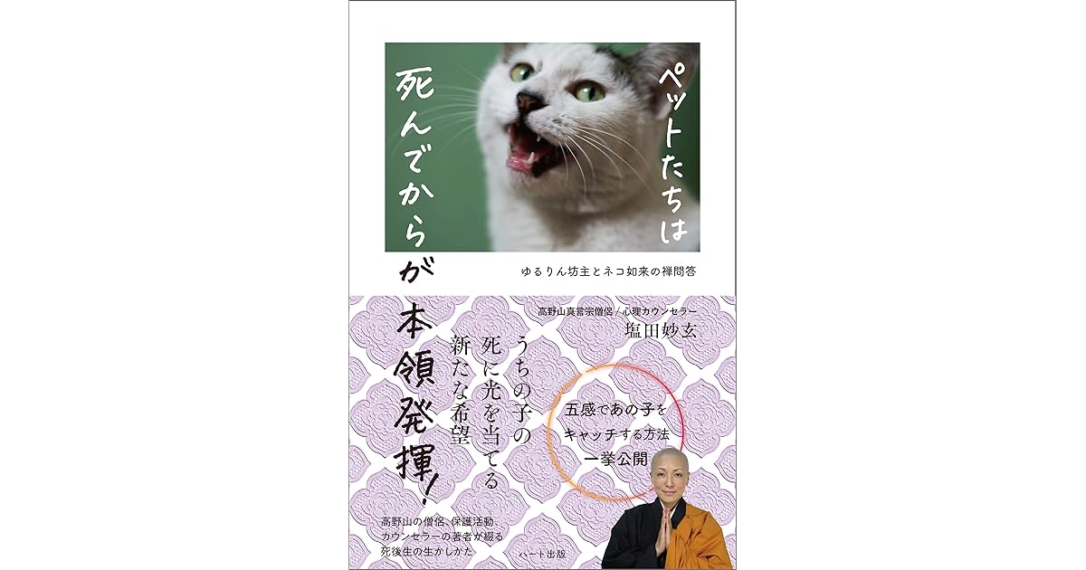 ペットたちは 死んでからが本領発揮 ゆるりん坊主とネコ如来の禅問答 By 塩田 妙玄