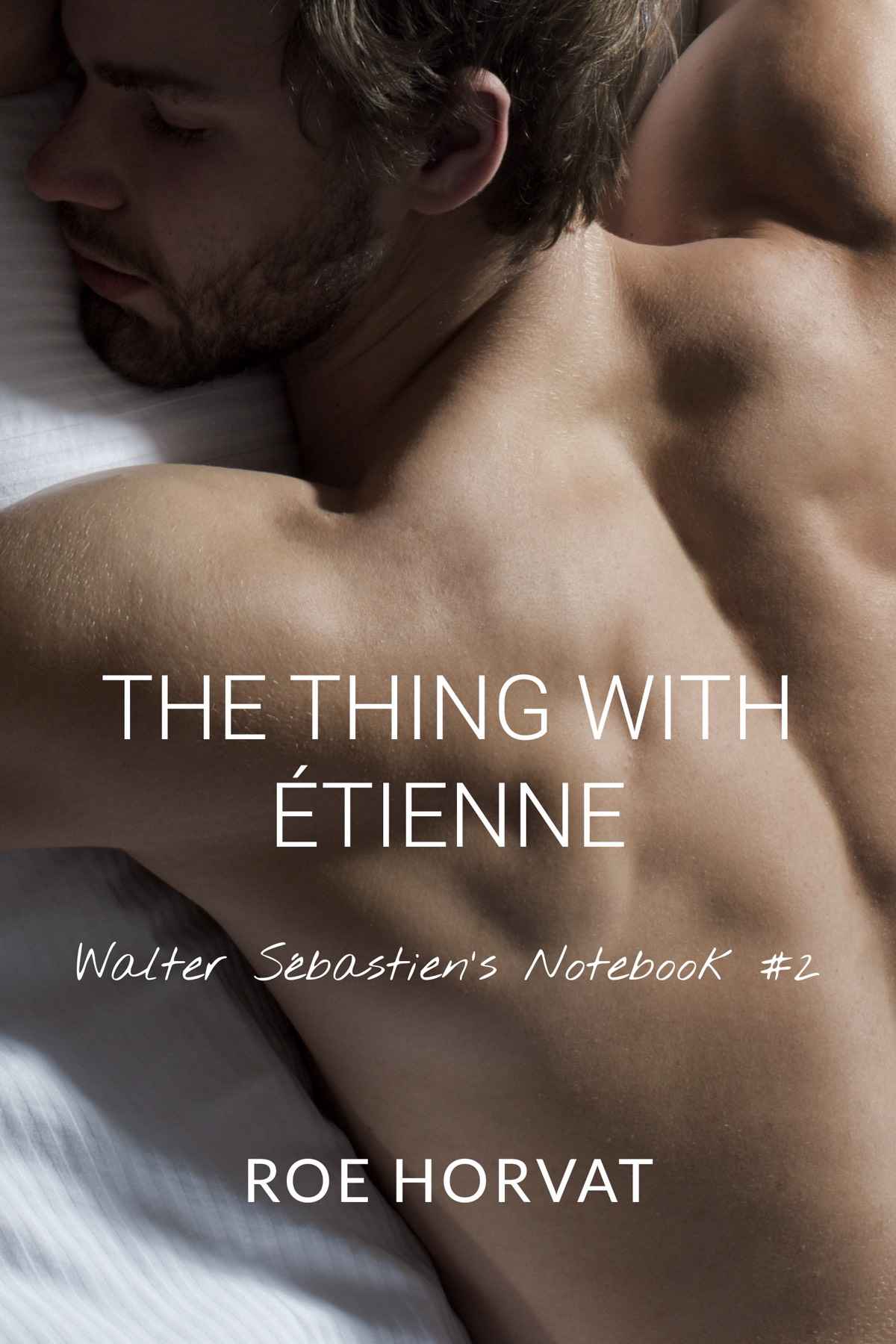 The Thing With Étienne (Walter Sébastien’s Notebook, #2)