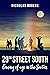 29th Street South: A Novel
