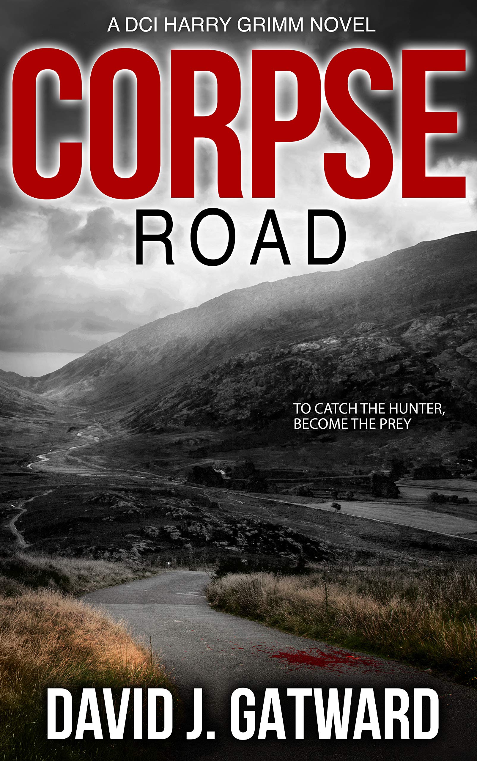 Corpse Road (DCI Harry Grimm, #3)