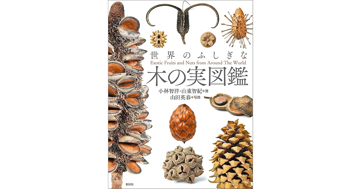 世界のふしぎな木の実図鑑 By 小林 智洋
