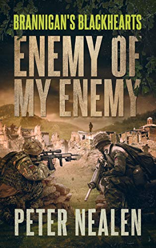 Enemy of My Enemy (Brannigan's Blackhearts #8)