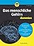 Das menschliche Gehirn für Dummies (Für Dummies) (German Edition)