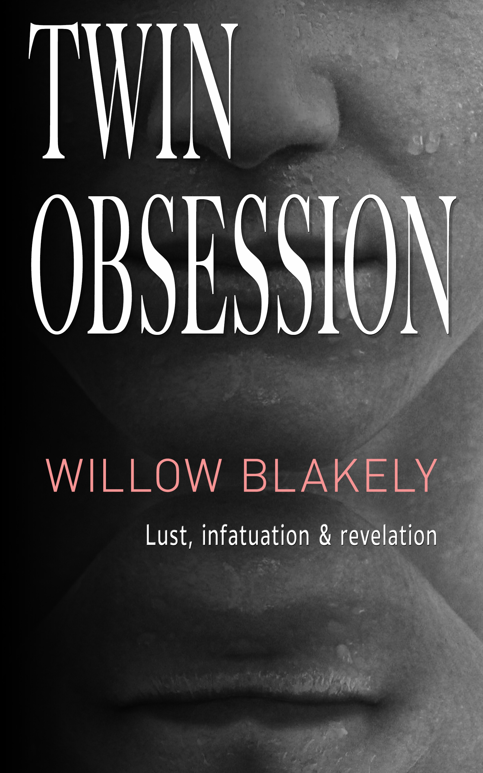 Twin Obsession: MFM Menage Erotica
