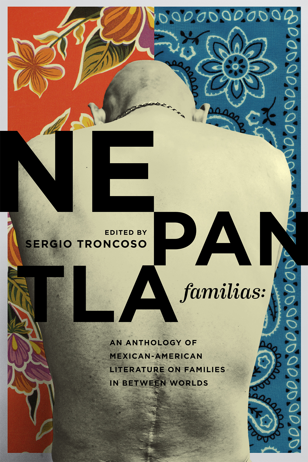 Nepantla Familias: An Anthology of Mexican American Literature on Families in between Worlds (Hardcover)
