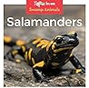 Salamanders: kids books ages 3-5 Salamanders: kids books ages 3-5
