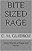 Bite Sized Rage: Short Stories of Rage and Horror