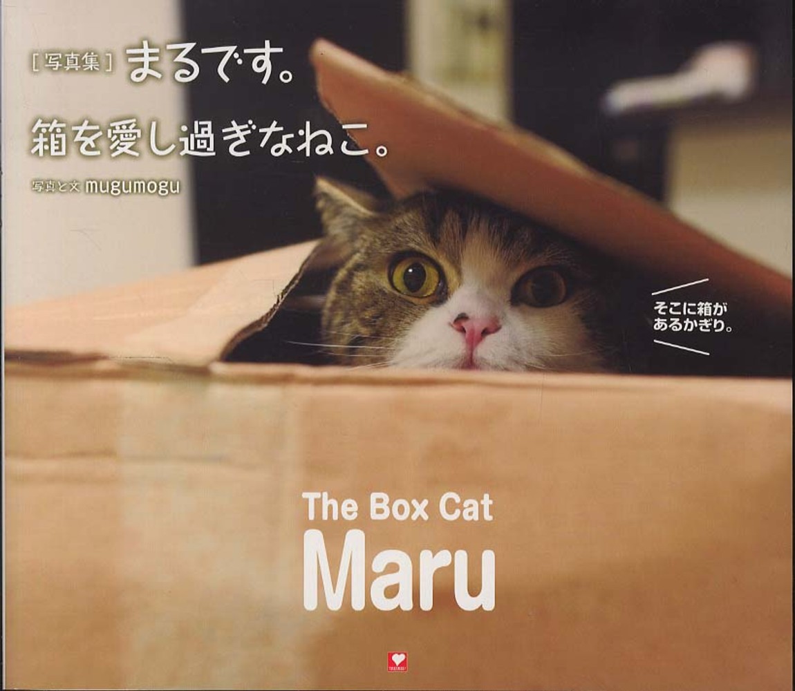 まるです。箱を愛しすぎなねこ。