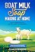 Goat Milk Soap Making at Home by Lynn   Robinson