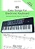 65 Easy Songs For Electroni...