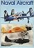 Naval aircraft by Louis S. Casey