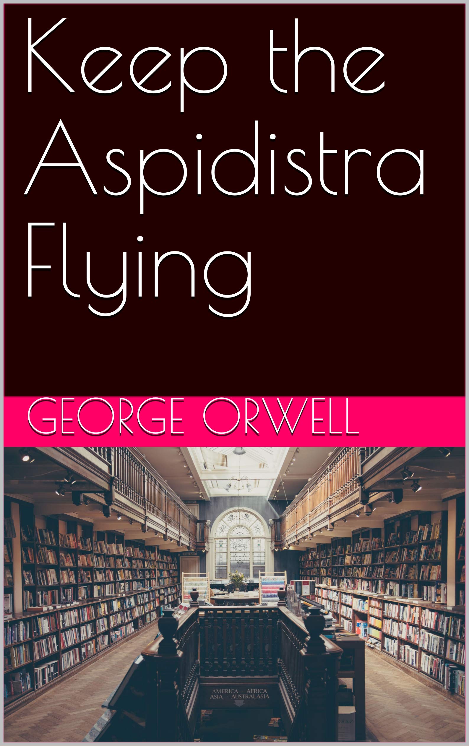 Keep the Aspidistra Flying