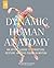 Dynamic Human Anatomy: An A...