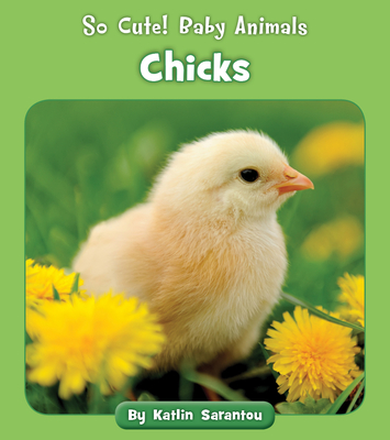 Chicks (So Cute! Baby Animals)