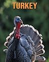 Turkey: Children's Books --- Learn About Turkey and Enjoy Colorful Pictures Turkey: Children's Books --- Learn About Turkey and Enjoy Colorful Pictures
