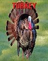 Turkey: Fun Facts & Cool Pictures