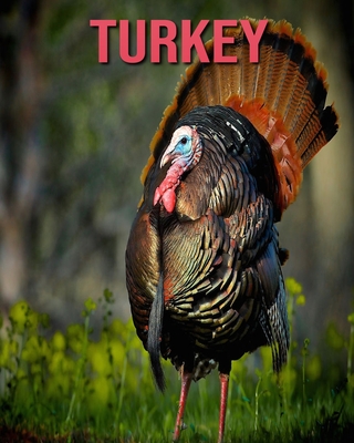 Turkey: Amazing Pictures & Fun Facts on Animals in Nature