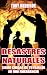 Desastres Naturales: Cómo C...